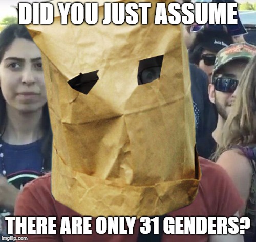 Paper Bag Feminist | DID YOU JUST ASSUME THERE ARE ONLY 31 GENDERS? | image tagged in paper bag feminist | made w/ Imgflip meme maker