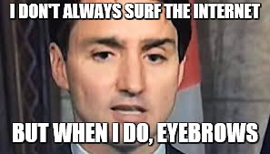 I DON'T ALWAYS SURF THE INTERNET; BUT WHEN I DO, EYEBROWS | image tagged in trudeau,eyebrows,surf the internet | made w/ Imgflip meme maker
