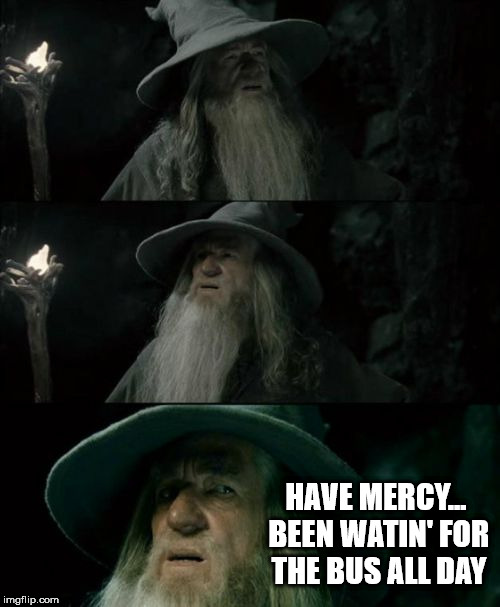 Confused Gandalf | HAVE MERCY... BEEN WATIN' FOR THE BUS ALL DAY | image tagged in memes,confused gandalf | made w/ Imgflip meme maker