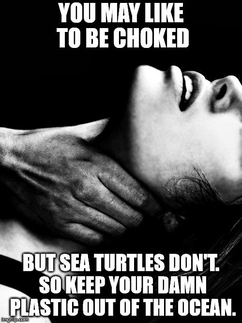 Erotic choke | YOU MAY LIKE TO BE CHOKED; BUT SEA TURTLES DON'T. SO KEEP YOUR DAMN PLASTIC OUT OF THE OCEAN. | image tagged in erotic choke | made w/ Imgflip meme maker