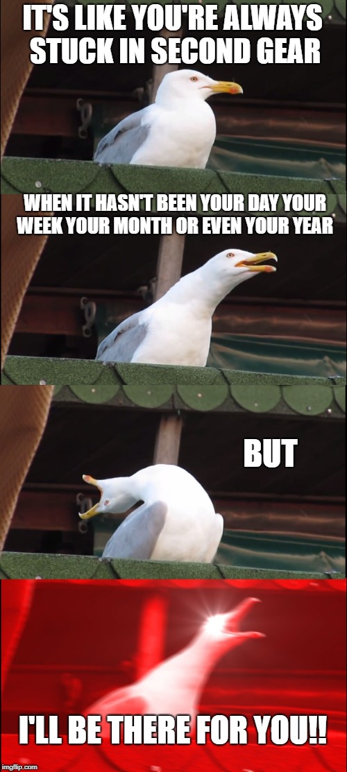 Inhaling Seagull | IT'S LIKE YOU'RE ALWAYS STUCK IN SECOND GEAR; WHEN IT HASN'T BEEN YOUR DAY YOUR WEEK YOUR MONTH
OR EVEN YOUR YEAR; BUT; I'LL BE THERE FOR YOU!! | image tagged in memes,inhaling seagull | made w/ Imgflip meme maker