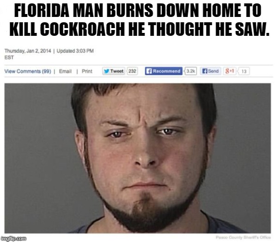 Florida Man | FLORIDA MAN BURNS DOWN HOME TO KILL COCKROACH HE THOUGHT HE SAW. | image tagged in florida man,funny | made w/ Imgflip meme maker