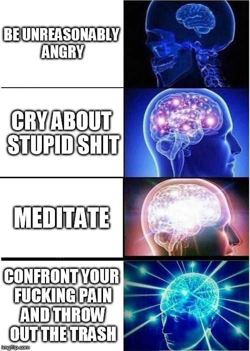 Expanding Brain Meme | BE UNREASONABLY ANGRY; CRY ABOUT STUPID SHIT; MEDITATE; CONFRONT YOUR FUCKING PAIN AND THROW OUT THE TRASH | image tagged in memes,expanding brain | made w/ Imgflip meme maker