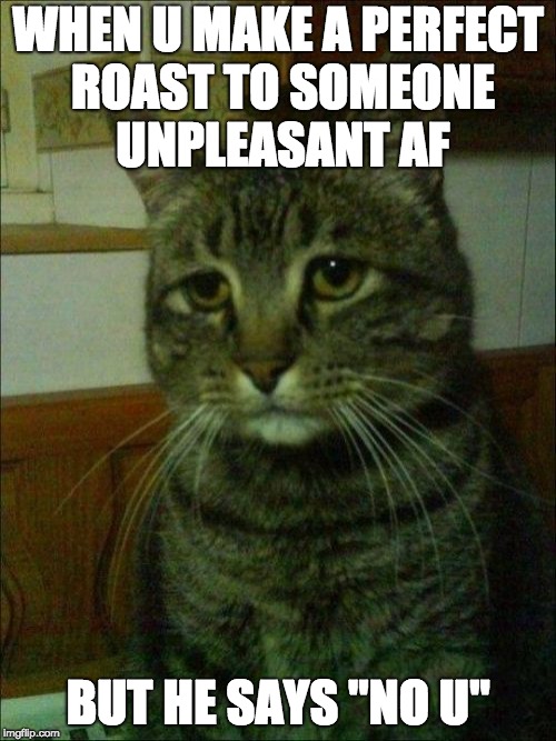Depressed Cat Meme | WHEN U MAKE A PERFECT ROAST TO SOMEONE UNPLEASANT AF; BUT HE SAYS "NO U" | image tagged in memes,depressed cat | made w/ Imgflip meme maker