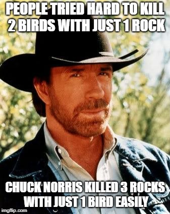 Chuck Norris Meme | PEOPLE TRIED HARD TO KILL 2 BIRDS WITH JUST 1 ROCK; CHUCK NORRIS KILLED 3 ROCKS WITH JUST 1 BIRD EASILY | image tagged in memes,chuck norris | made w/ Imgflip meme maker