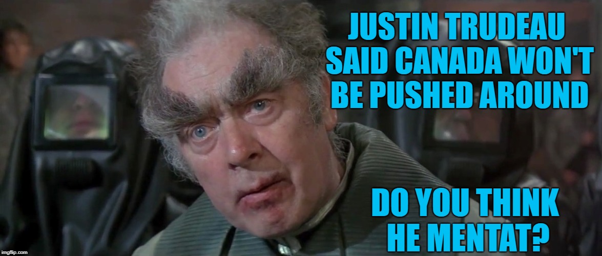 Eyebrowgate | JUSTIN TRUDEAU SAID CANADA WON'T BE PUSHED AROUND; DO YOU THINK HE MENTAT? | image tagged in eyebrows,justin trudeau,dune,mentat | made w/ Imgflip meme maker