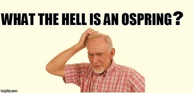 WHAT THE HELL IS AN OSPRING ? | made w/ Imgflip meme maker