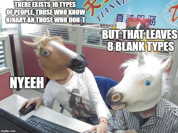Unicorn Horse Office Computer | THERE EXISTS 10 TYPES OF PEOPLE, THOSE WHO KNOW BINARY AN THOSE WHO DON´T; BUT THAT LEAVES 8 BLANK TYPES; NYEEH | image tagged in unicorn horse office computer | made w/ Imgflip meme maker