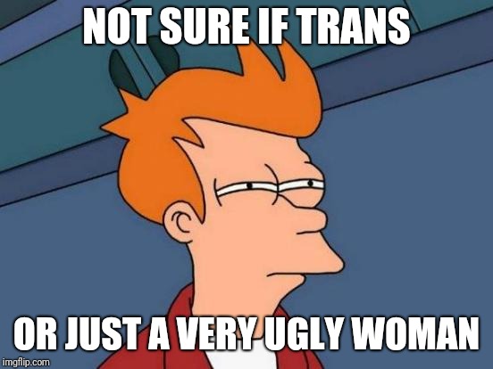 Futurama Fry Meme | NOT SURE IF TRANS; OR JUST A VERY UGLY WOMAN | image tagged in memes,futurama fry | made w/ Imgflip meme maker