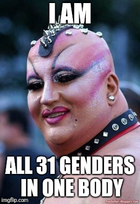 I AM ALL 31 GENDERS IN ONE BODY | made w/ Imgflip meme maker