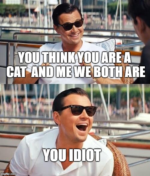 Leonardo Dicaprio Wolf Of Wall Street Meme | YOU THINK YOU ARE A CAT  AND ME WE BOTH ARE; YOU IDIOT | image tagged in memes,leonardo dicaprio wolf of wall street | made w/ Imgflip meme maker