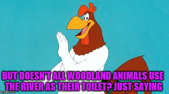 People like to say rivers are clean up in the mountains | BUT DOESN'T ALL WOODLAND ANIMALS USE THE RIVER AS THEIR TOILET? JUST SAYING | image tagged in foghorn leghorn,humor,outdoors,forrest | made w/ Imgflip meme maker