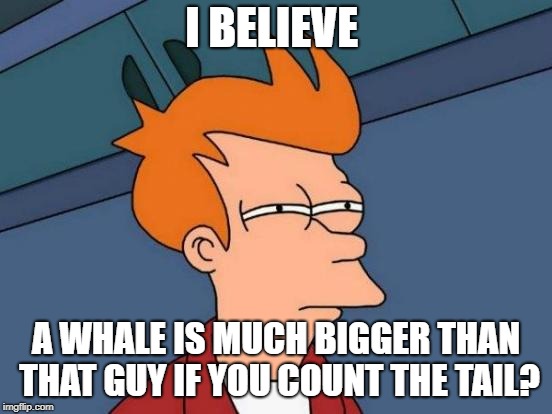 Futurama Fry Meme | I BELIEVE A WHALE IS MUCH BIGGER THAN THAT GUY IF YOU COUNT THE TAIL? | image tagged in memes,futurama fry | made w/ Imgflip meme maker