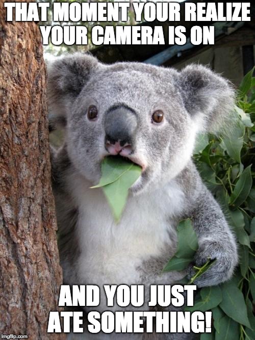 Surprised Koala Meme | THAT MOMENT YOUR REALIZE YOUR CAMERA IS ON; AND YOU JUST ATE SOMETHING! | image tagged in memes,surprised koala | made w/ Imgflip meme maker