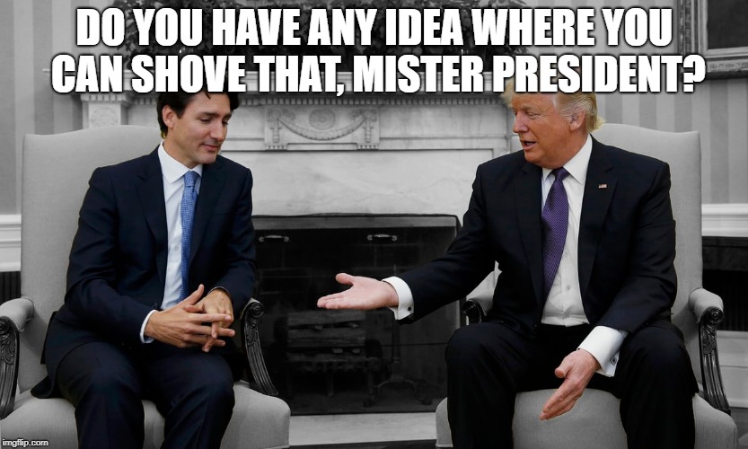 DO YOU HAVE ANY IDEA WHERE YOU CAN SHOVE THAT, MISTER PRESIDENT? | image tagged in donald trump,justin trudeau | made w/ Imgflip meme maker