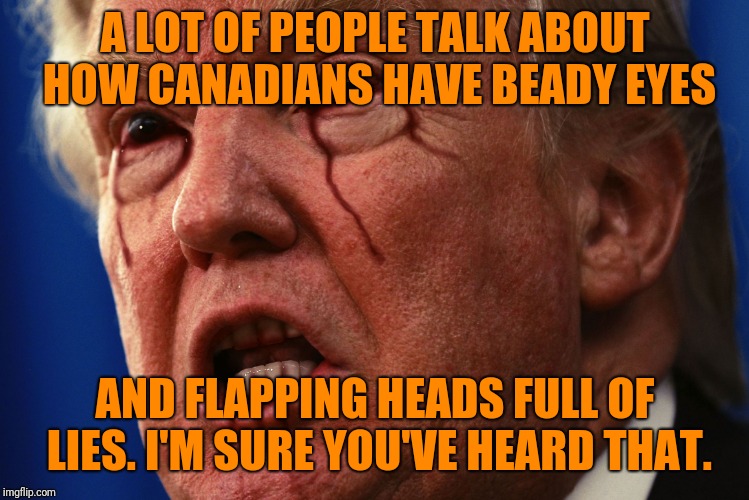 Lame Drumpf | A LOT OF PEOPLE TALK ABOUT HOW CANADIANS HAVE BEADY EYES; AND FLAPPING HEADS FULL OF LIES. I'M SURE YOU'VE HEARD THAT. | image tagged in lame drumpf,memes,blame canada,g7 summit,derp | made w/ Imgflip meme maker