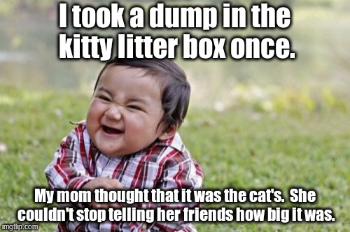 Evil Toddler Meme | I took a dump in the kitty litter box once. My mom thought that it was the cat's.  She couldn't stop telling her friends how big it was. | image tagged in memes,evil toddler | made w/ Imgflip meme maker