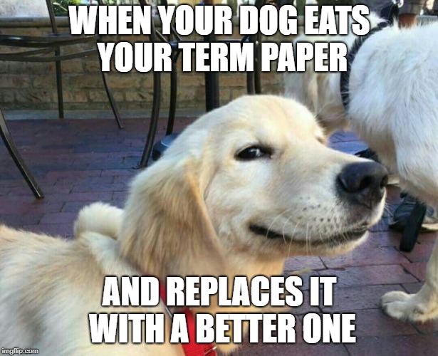 WHEN YOUR DOG EATS YOUR TERM PAPER AND REPLACES IT WITH A BETTER ONE | made w/ Imgflip meme maker