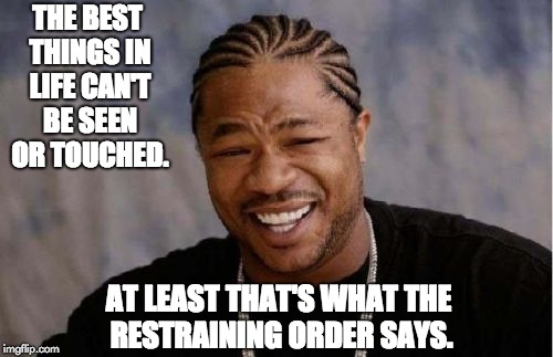 Yo Dawg Heard You Meme | THE BEST THINGS IN LIFE CAN'T BE SEEN OR TOUCHED. AT LEAST THAT'S WHAT THE RESTRAINING ORDER SAYS. | image tagged in memes,yo dawg heard you | made w/ Imgflip meme maker