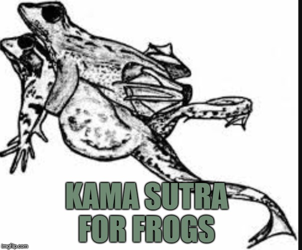 A late Frog Week submission. Frog Week, a JBmemegeek & giveuahint event! | KAMA SUTRA FOR FROGS | image tagged in frog week,jbmemegeek,giveuahint,frogs | made w/ Imgflip meme maker