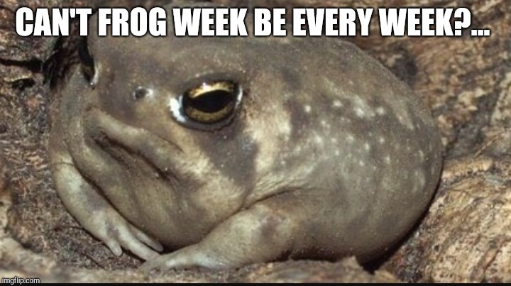 CAN'T FROG WEEK BE EVERY WEEK?... | made w/ Imgflip meme maker