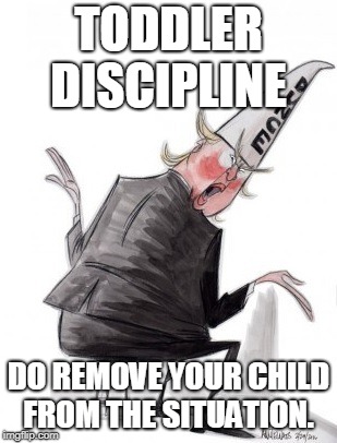 TODDLER DISCIPLINE; DO REMOVE YOUR CHILD FROM THE SITUATION. | made w/ Imgflip meme maker