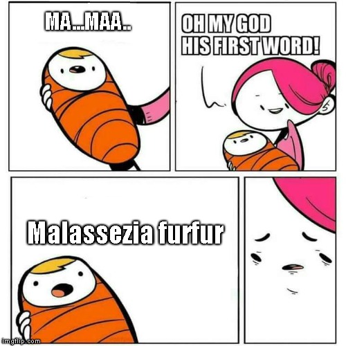 Sons First Words | MA...MAA.. Malassezia furfur | image tagged in sons first words | made w/ Imgflip meme maker