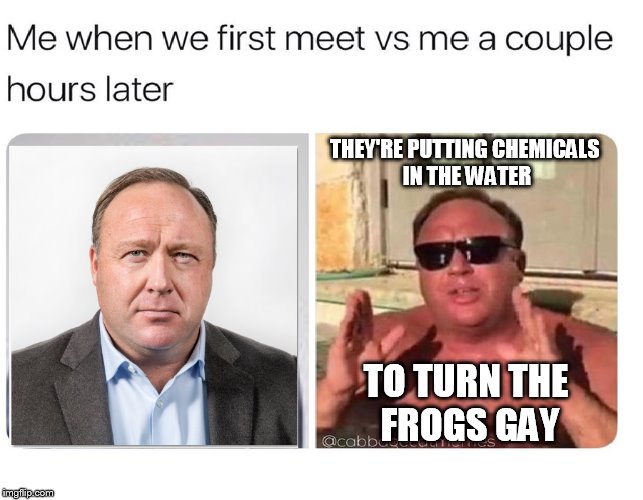 alex jones, frogs | THEY'RE PUTTING CHEMICALS IN THE WATER; TO TURN THE FROGS GAY | image tagged in memes | made w/ Imgflip meme maker