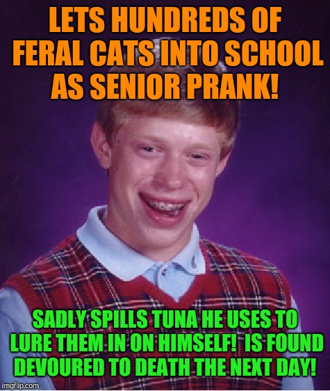 Catfood chaos  | LETS HUNDREDS OF FERAL CATS INTO SCHOOL AS SENIOR PRANK! SADLY SPILLS TUNA HE USES TO LURE THEM IN ON HIMSELF!  IS FOUND DEVOURED TO DEATH THE NEXT DAY! | image tagged in memes,bad luck brian | made w/ Imgflip meme maker