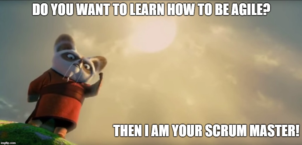 Shifu is your Scrum Master! | DO YOU WANT TO LEARN HOW TO BE AGILE? THEN I AM YOUR SCRUM MASTER! | image tagged in scrum,master,kung fu panda | made w/ Imgflip meme maker