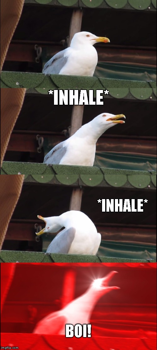 Inhaling Seagull | *INHALE*; *INHALE*; BOI! | image tagged in memes,inhaling seagull | made w/ Imgflip meme maker