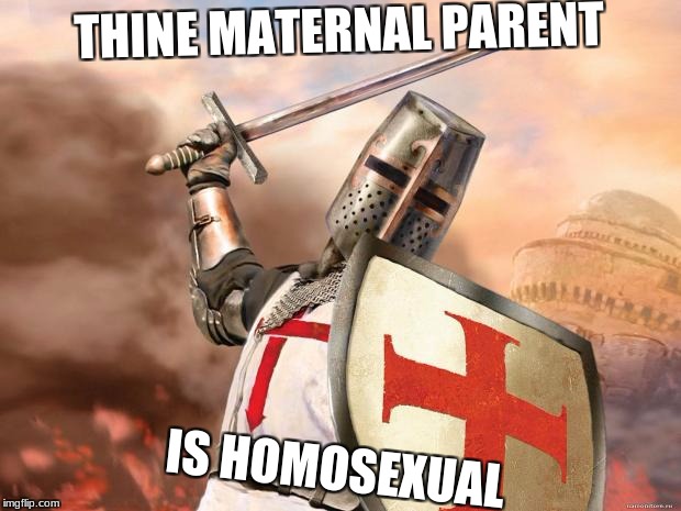 The Holy Testimony | THINE MATERNAL PARENT; IS HOMOSEXUAL | image tagged in crusader | made w/ Imgflip meme maker