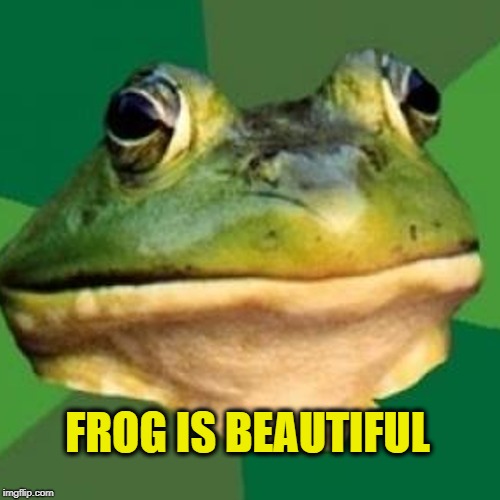 FROG IS BEAUTIFUL | image tagged in foul bachelor frog,beautiful,mugatu so hot right now,thats why | made w/ Imgflip meme maker