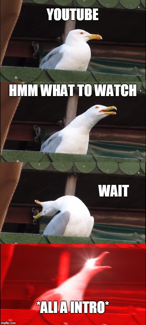 ALI A | YOUTUBE; HMM WHAT TO WATCH; WAIT; *ALI A INTRO* | image tagged in memes,inhaling seagull,youtube,youtuber | made w/ Imgflip meme maker