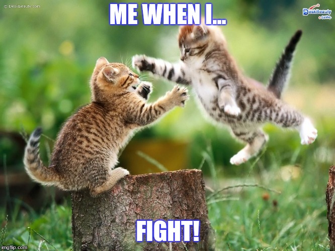 ME WHEN I... FIGHT! | image tagged in funny cat memes | made w/ Imgflip meme maker