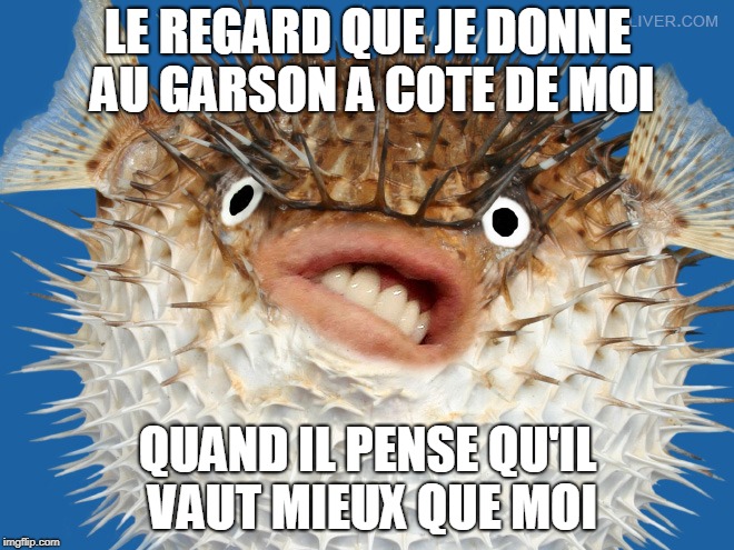 LE REGARD QUE JE DONNE AU GARSON A COTE DE MOI; QUAND IL PENSE QU'IL VAUT MIEUX QUE MOI | image tagged in fish | made w/ Imgflip meme maker