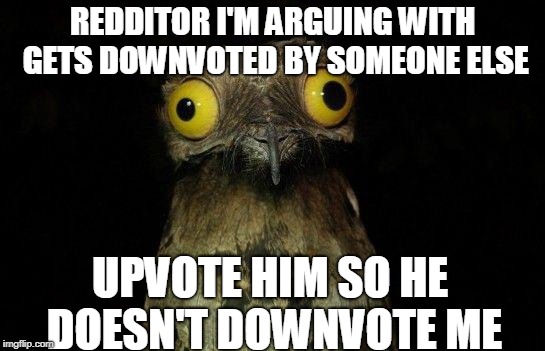 Crazy eyed bird | REDDITOR I'M ARGUING WITH GETS DOWNVOTED BY SOMEONE ELSE; UPVOTE HIM SO HE DOESN'T DOWNVOTE ME | image tagged in crazy eyed bird | made w/ Imgflip meme maker