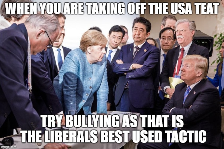 Trump the Negotiator!!!  Defiantly flipping them the bird!!! No more world welfare from The USA | WHEN YOU ARE TAKING OFF THE USA TEAT; TRY BULLYING AS THAT IS THE LIBERALS BEST USED TACTIC | image tagged in the scroll of truth | made w/ Imgflip meme maker