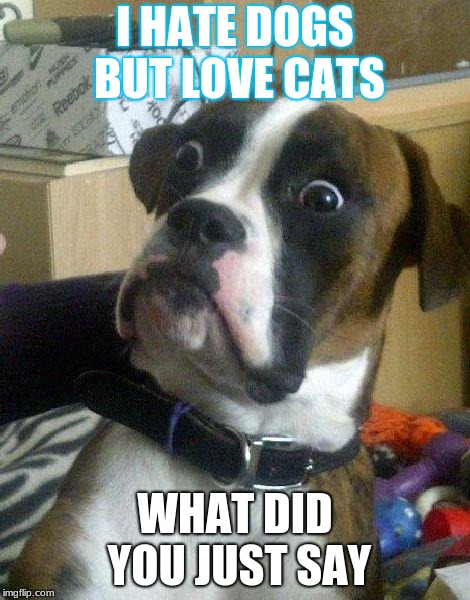 Surprised Dog | I HATE DOGS BUT LOVE CATS; WHAT DID YOU JUST SAY | image tagged in surprised dog | made w/ Imgflip meme maker
