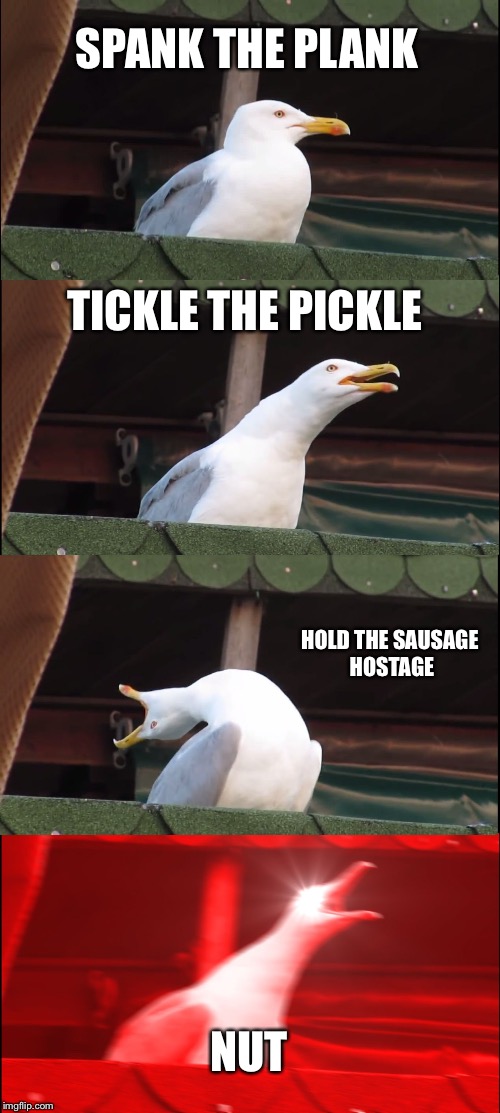 Inhaling Seagull | SPANK THE PLANK; TICKLE THE PICKLE; HOLD THE SAUSAGE HOSTAGE; NUT | image tagged in memes,inhaling seagull | made w/ Imgflip meme maker