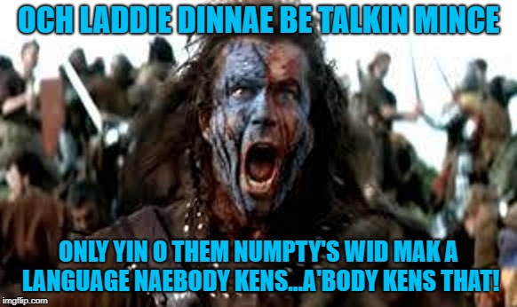 OCH LADDIE DINNAE BE TALKIN MINCE ONLY YIN O THEM NUMPTY'S WID MAK A LANGUAGE NAEBODY KENS...A'BODY KENS THAT! | made w/ Imgflip meme maker