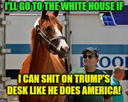 It's all horse shit anyways!  | I'LL GO TO THE WHITE HOUSE IF; I CAN SHIT ON TRUMP'S DESK LIKE HE DOES AMERICA! | image tagged in justify no go white house,donald trump,scumbag republicans | made w/ Imgflip meme maker
