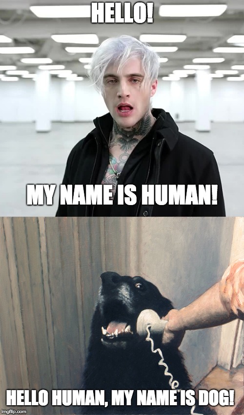 My name is Dog | HELLO! MY NAME IS HUMAN! HELLO HUMAN, MY NAME IS DOG! | image tagged in memes,funny,hello,dog,hello my name is,highly suspect | made w/ Imgflip meme maker