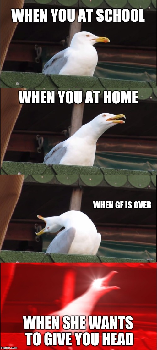 Inhaling Seagull | WHEN YOU AT SCHOOL; WHEN YOU AT HOME; WHEN GF IS OVER; WHEN SHE WANTS TO GIVE YOU HEAD | image tagged in memes,inhaling seagull | made w/ Imgflip meme maker