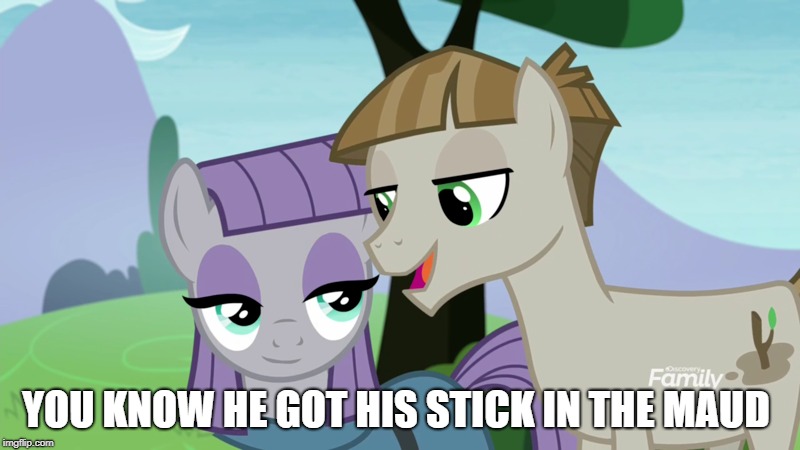Maudbriar2
 | YOU KNOW HE GOT HIS STICK IN THE MAUD | image tagged in maudbriar | made w/ Imgflip meme maker