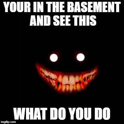 ohhh hell no | YOUR IN THE BASEMENT AND SEE THIS; WHAT DO YOU DO | image tagged in wut | made w/ Imgflip meme maker