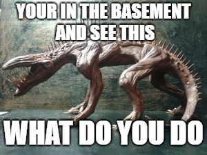 with many voices | YOUR IN THE BASEMENT AND SEE THIS; WHAT DO YOU DO | image tagged in scary | made w/ Imgflip meme maker