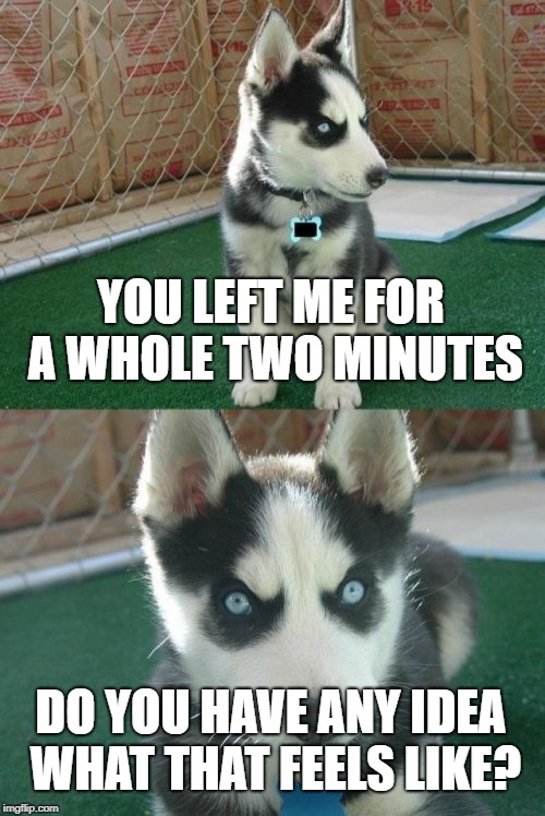 Insanity Puppy Meme | YOU LEFT ME FOR A WHOLE TWO MINUTES; DO YOU HAVE ANY IDEA WHAT THAT FEELS LIKE? | image tagged in memes,insanity puppy | made w/ Imgflip meme maker