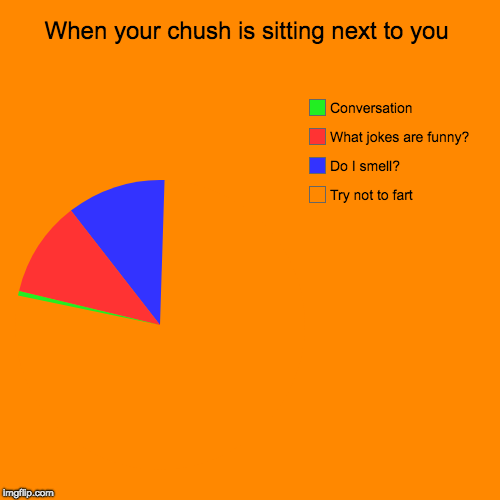 When your chush is sitting next to you | Try not to fart, Do I smell?, What jokes are funny?, Conversation | image tagged in funny,pie charts | made w/ Imgflip chart maker