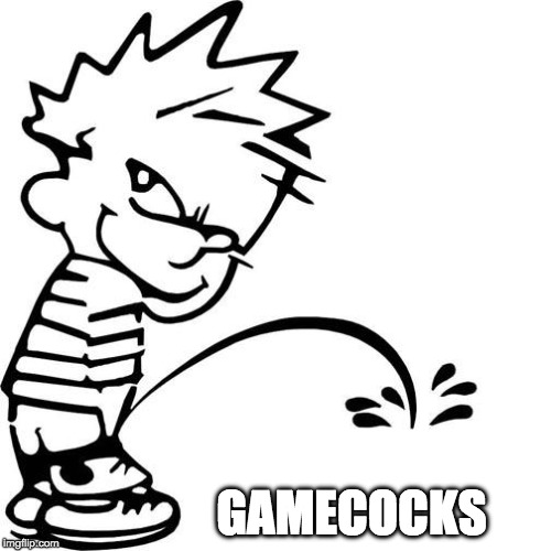 Calvin Peeing | GAMECOCKS | image tagged in calvin peeing | made w/ Imgflip meme maker